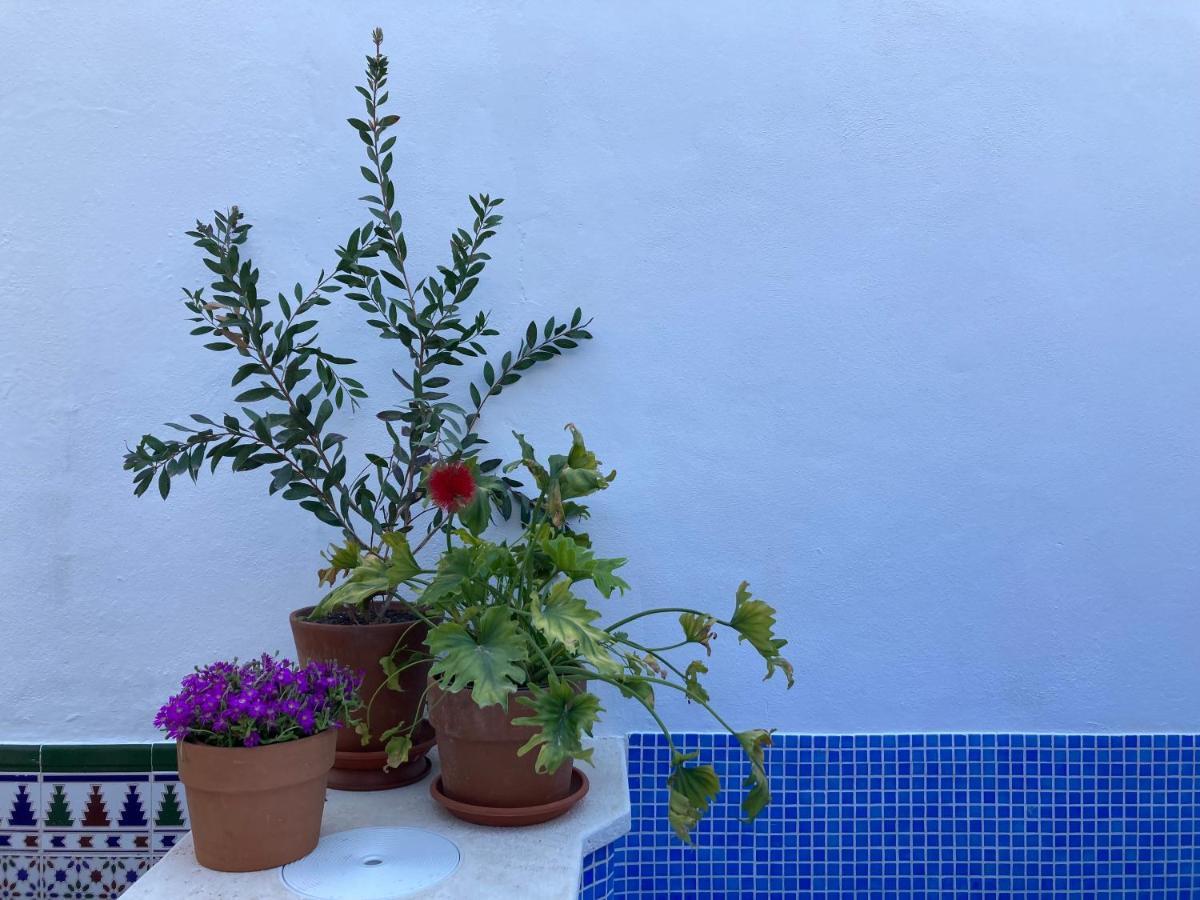 Casa Clemente 32, Private House With Plunge Pool Appartement Málaga Buitenkant foto