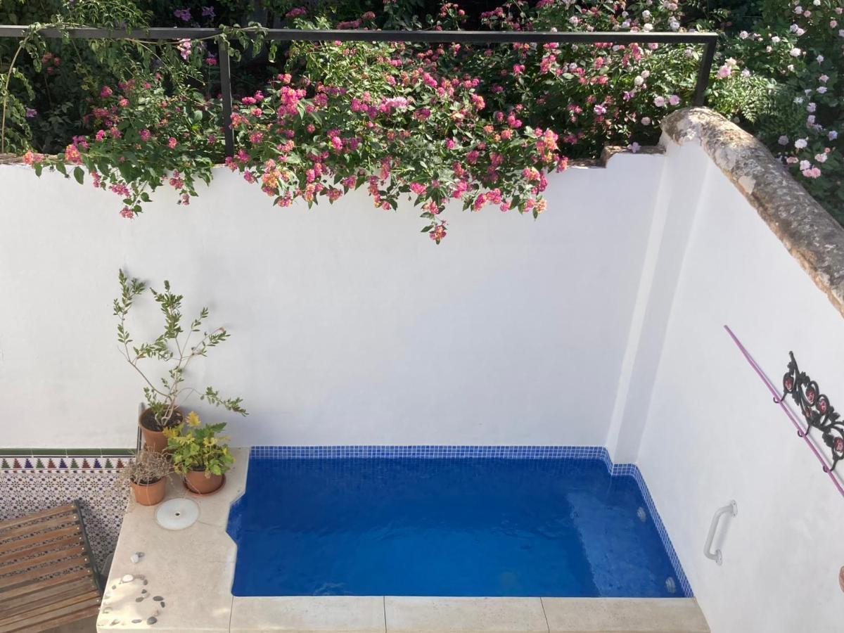 Casa Clemente 32, Private House With Plunge Pool Appartement Málaga Buitenkant foto